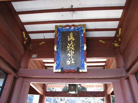 20151127hike (254)